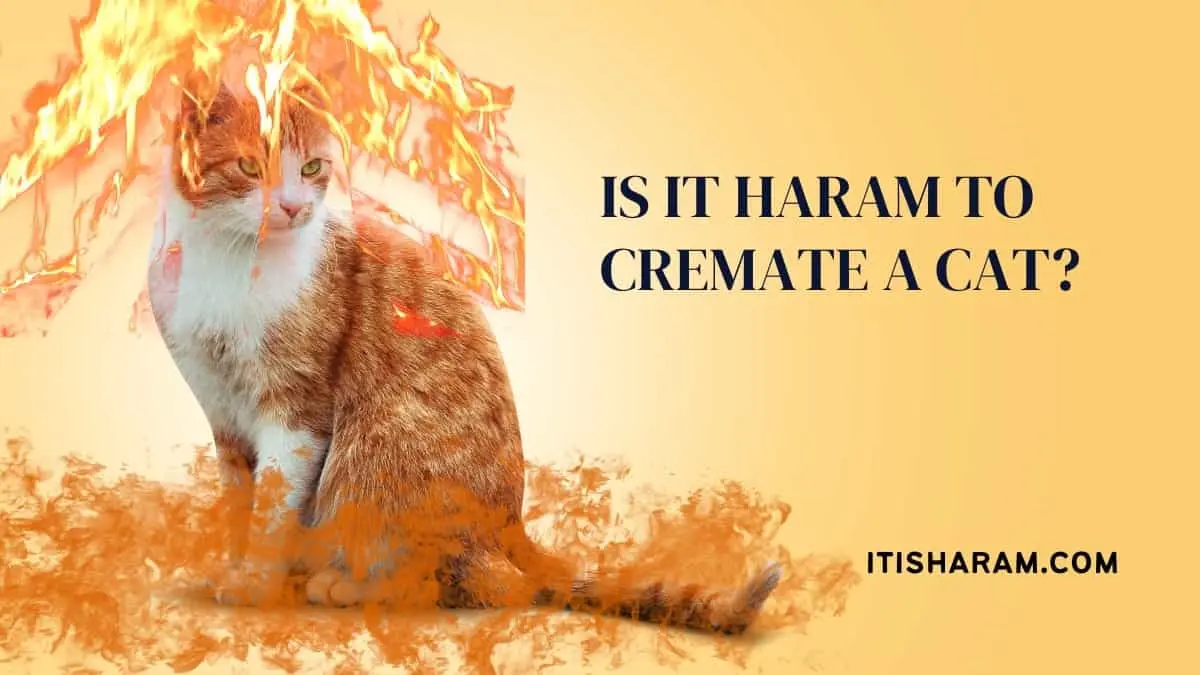 Is it Haram to cremate a cat